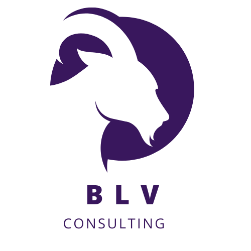 blvconsultinggroup
